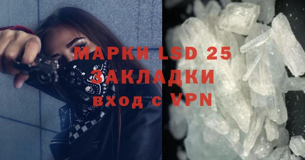 шишки Осинники