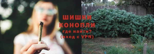 шишки Осинники