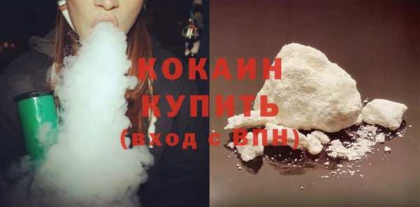 шишки Осинники