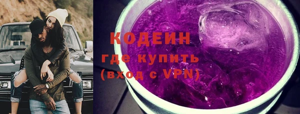 шишки Осинники