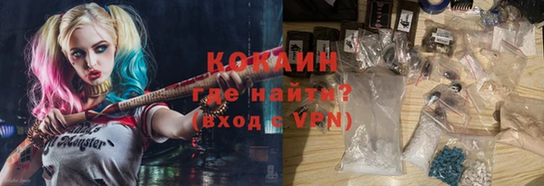шишки Осинники