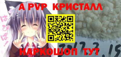 спайс Гай