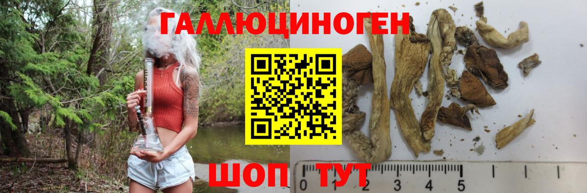 Псилоцибиновые грибы прущие грибы  цены наркотик  Галлюциногенные грибы Psilocybe  Старая Купавна 